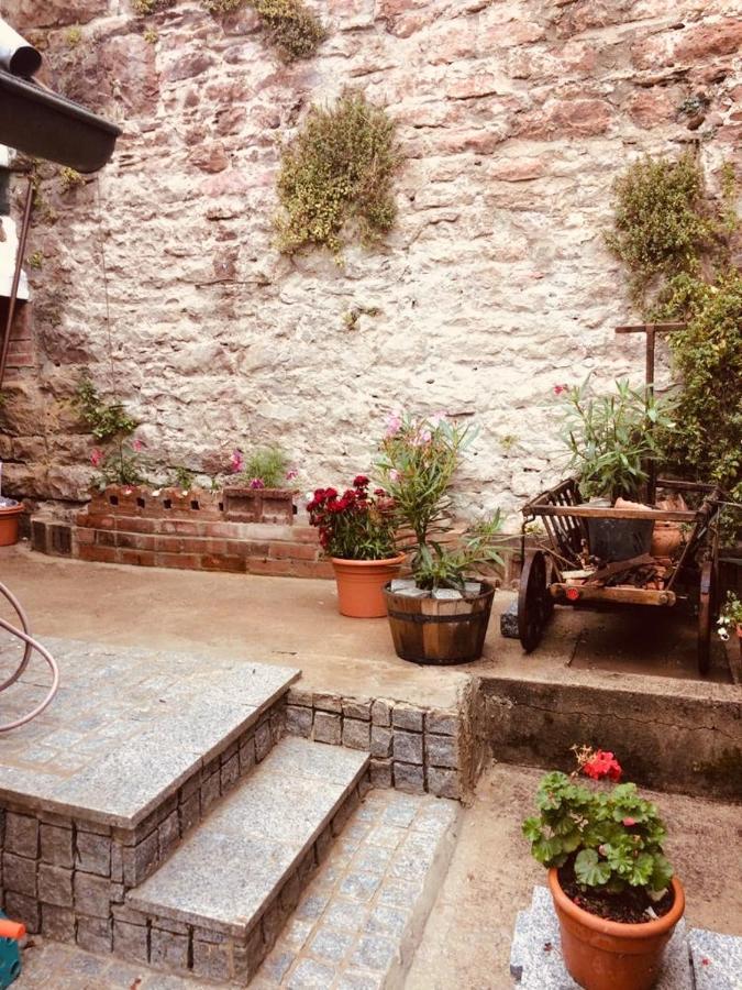 Neckarblick,Natur, Altstadt Hirschhorn Exterior foto