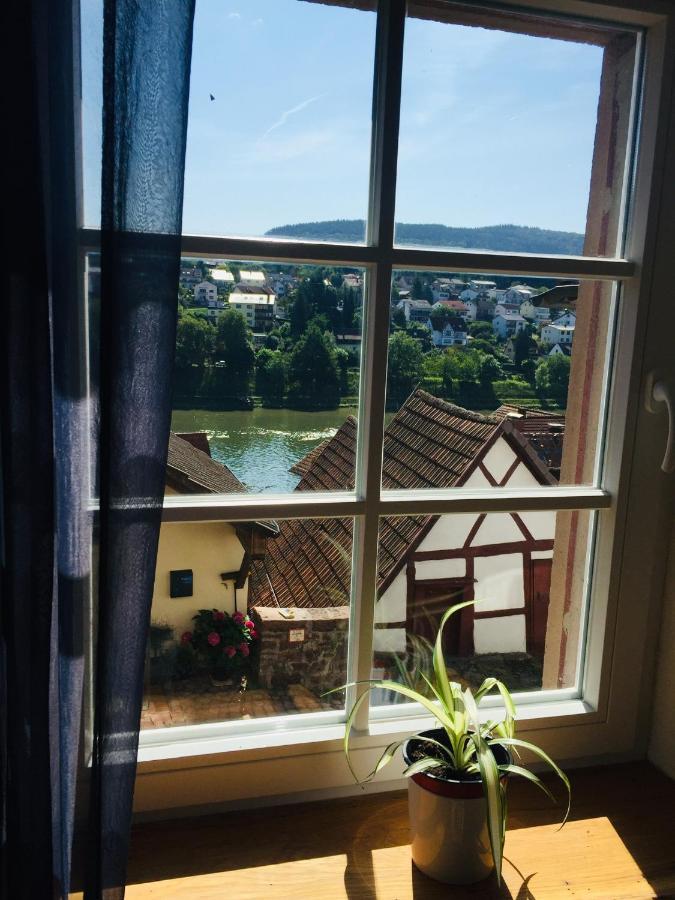 Neckarblick,Natur, Altstadt Hirschhorn Exterior foto