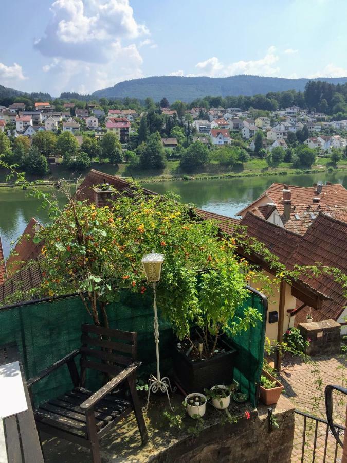 Neckarblick,Natur, Altstadt Hirschhorn Exterior foto