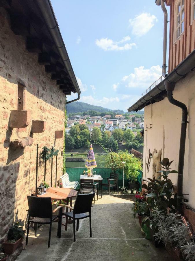 Neckarblick,Natur, Altstadt Hirschhorn Exterior foto